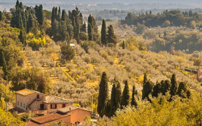 , Home, Chef Damiano - Tuscan Chef