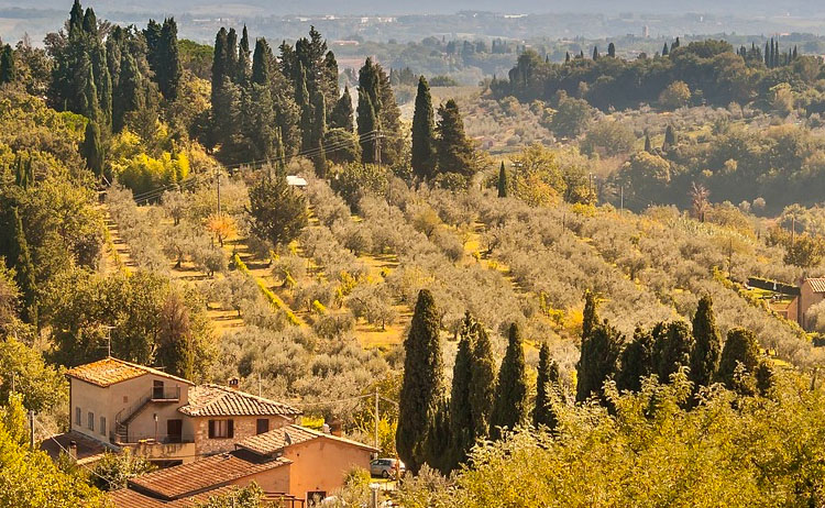 Savoring Tuscan Magic: A Culinary Voyage with Private Chef Damiano, Chef Damiano - Tuscan Chef